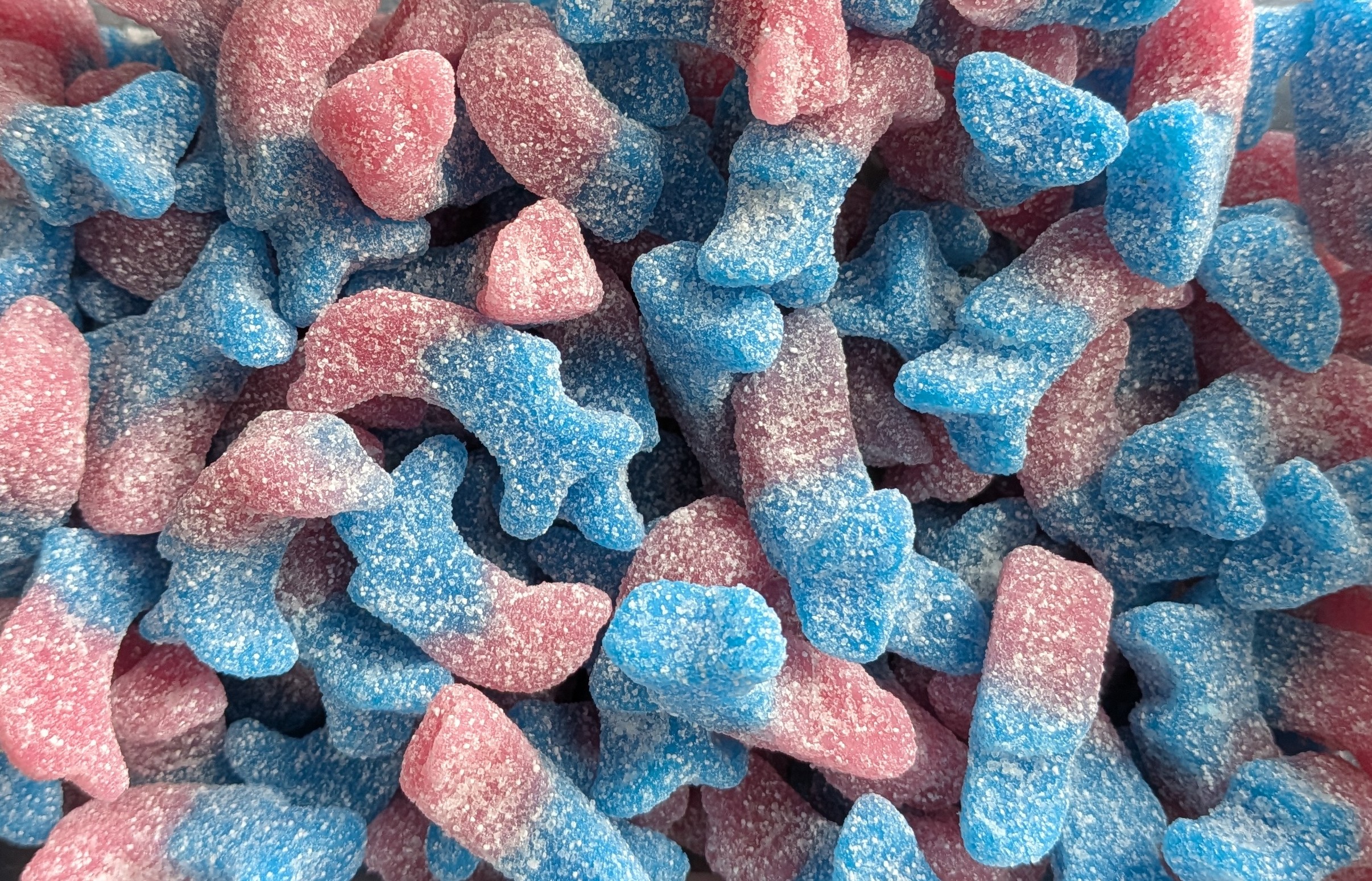 Fizzy Bubblegum Dolphins